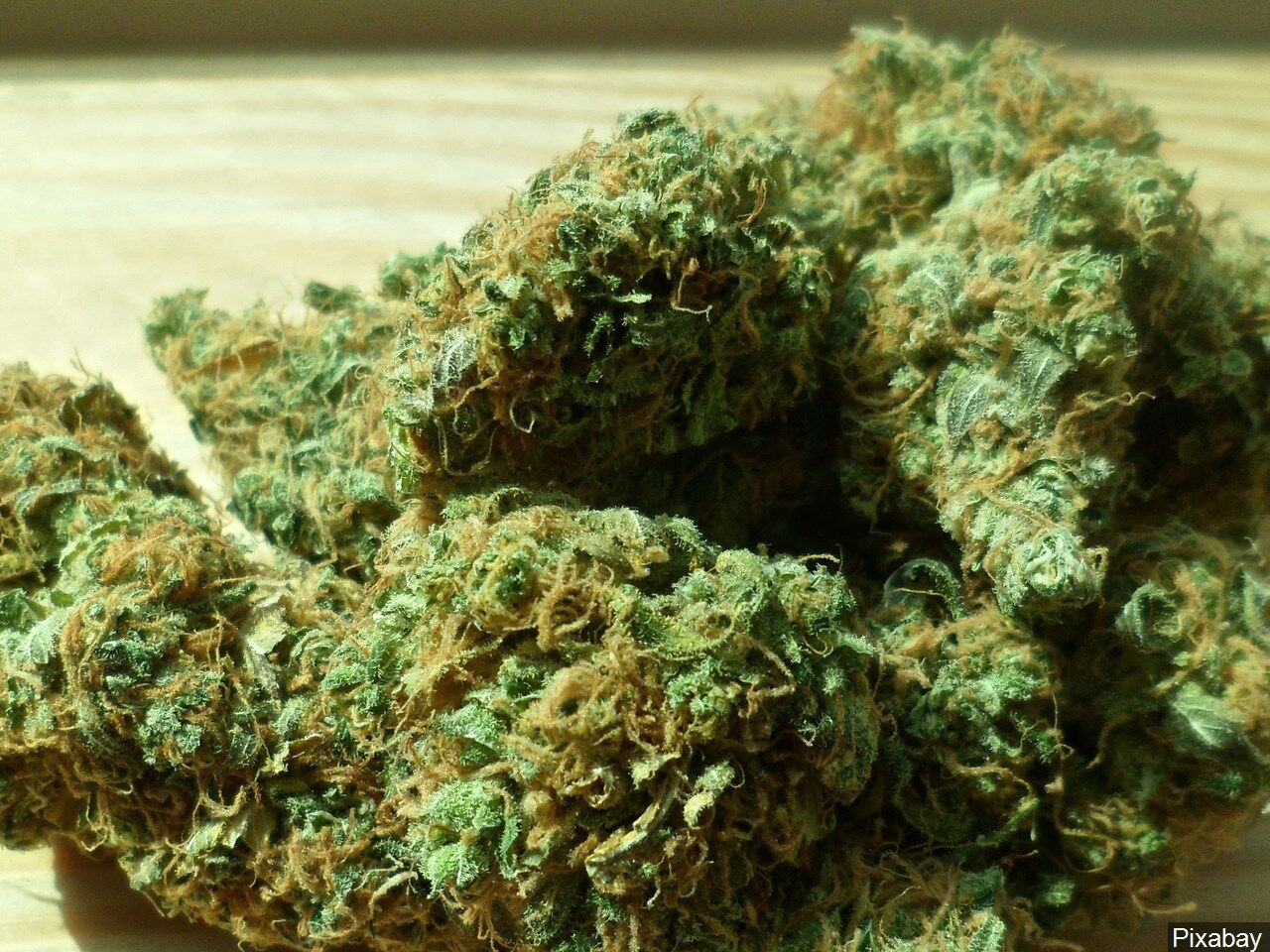 0520_marijuana
